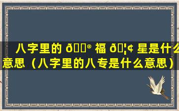八字里的 💮 福 🦢 星是什么意思（八字里的八专是什么意思）